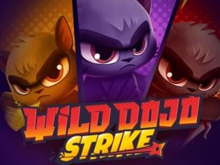 Wild Dojo Strike screenshot